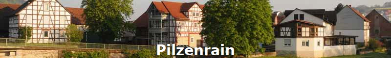 Pilzenrain