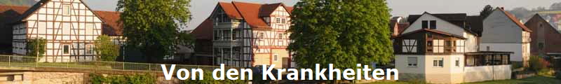 Von den Krankheiten